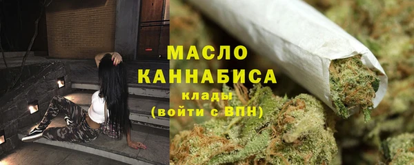 индика Кукмор