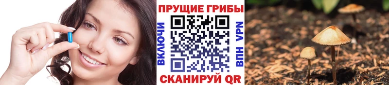 Псилоцибиновые грибы мицелий Называевск